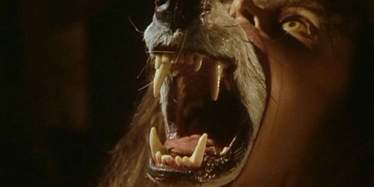 the company of wolves
