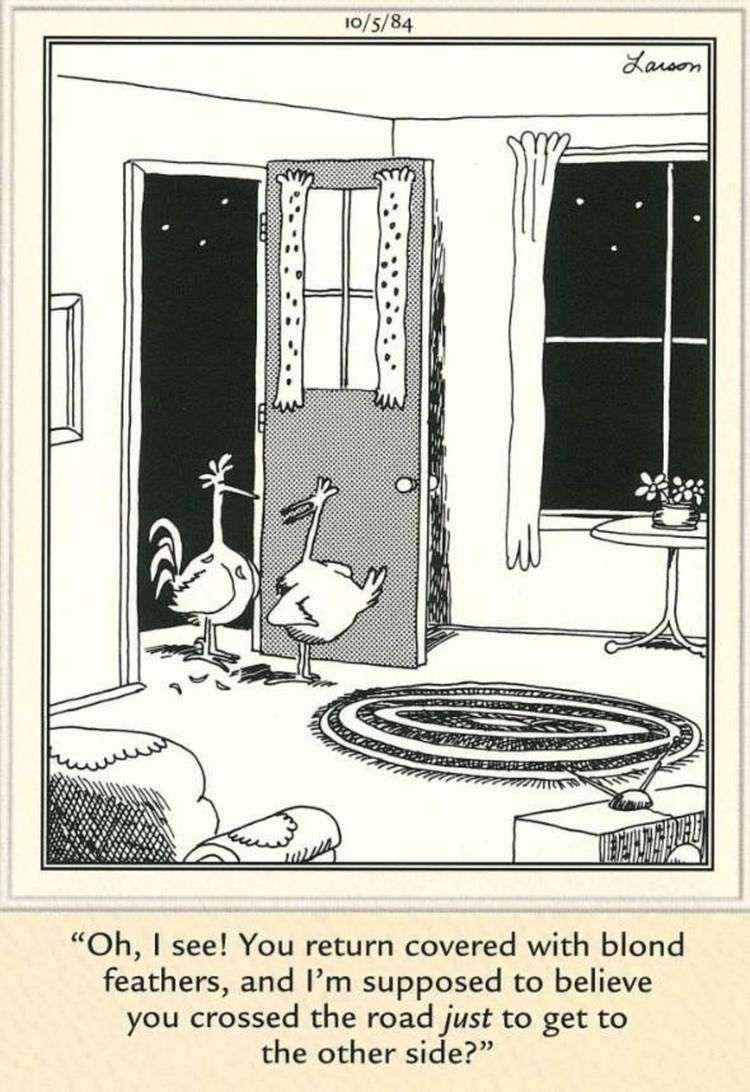 The Far Side, a chicken returns covered with blond feathers and his partner doesn't believe he crossed the road just to get to the other side