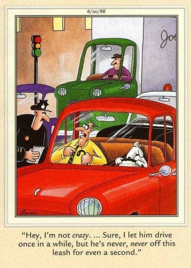 The Far Side, a man gets stopped by a cop while his dog drives the car