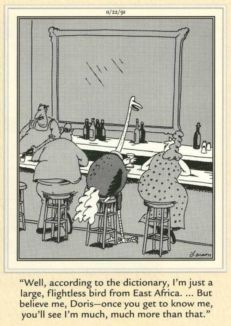 The Far Side, an ostrich hits on a human woman at a bar