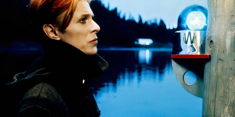The Man Who Fell To Earth