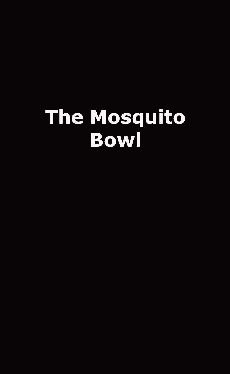 The Mosquito Bowl Upcoming Film Logo Placeholder