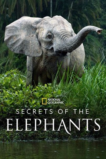 Secrets Of The Elephants Season 1 Summary Trailer Cast And More