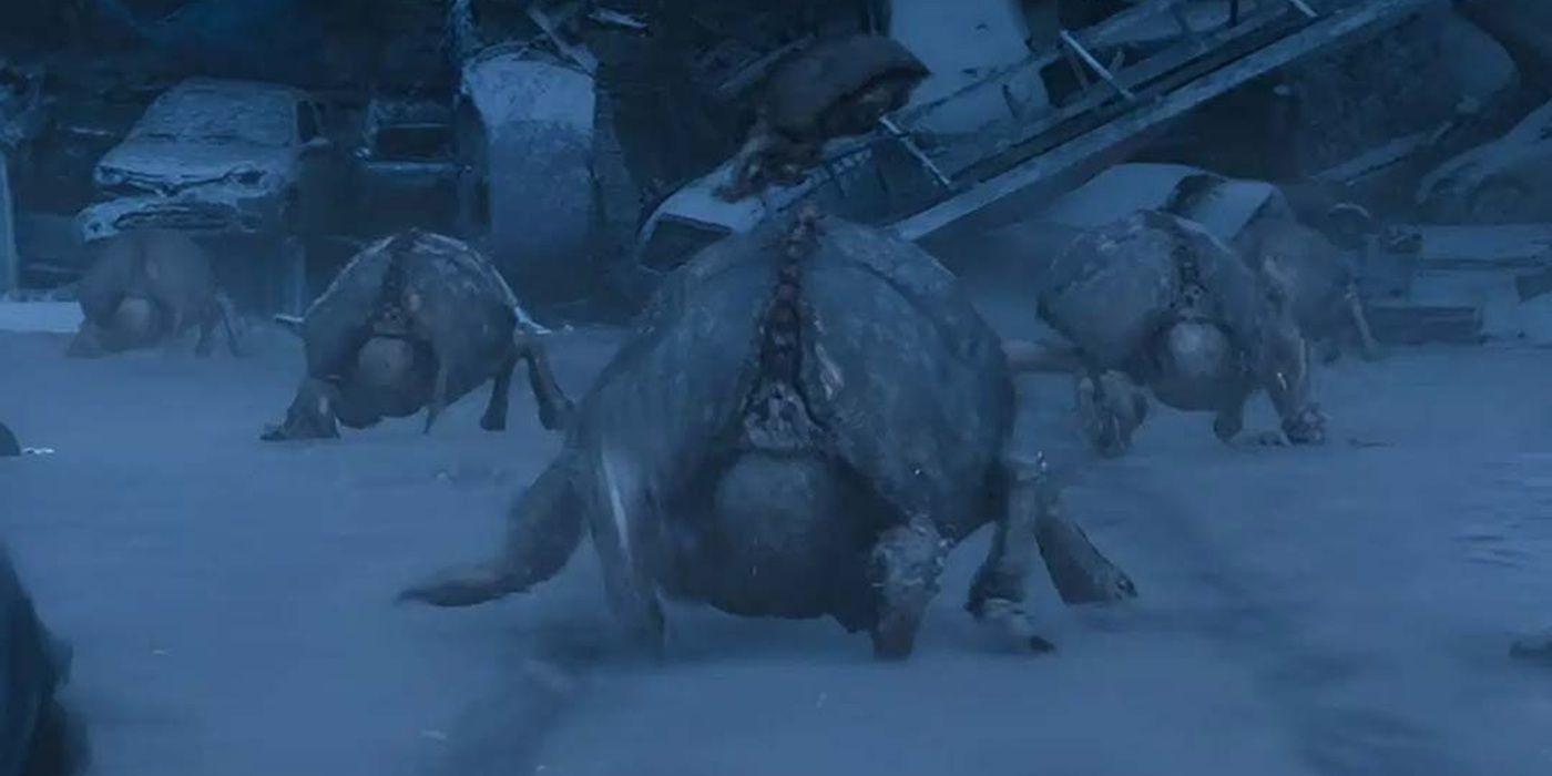 Escarabajos alienígenas en la eternaut