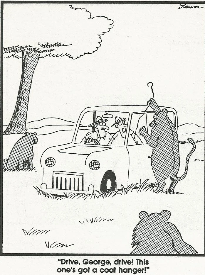 Two tourists are trapped in their car as a lioness attempts to open their car door with a coat hanger.