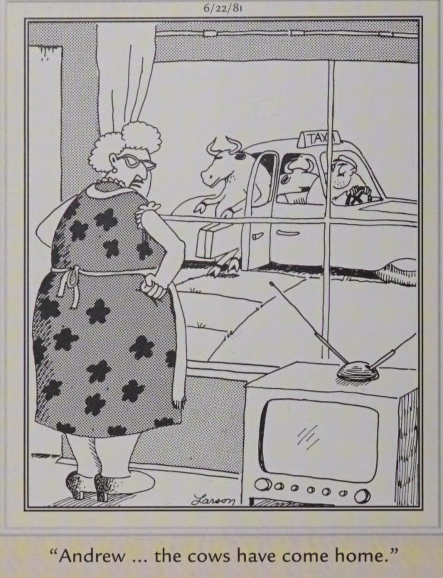 Far Side, June 22, 1981, a woman tells her husband 'the cows have come home'