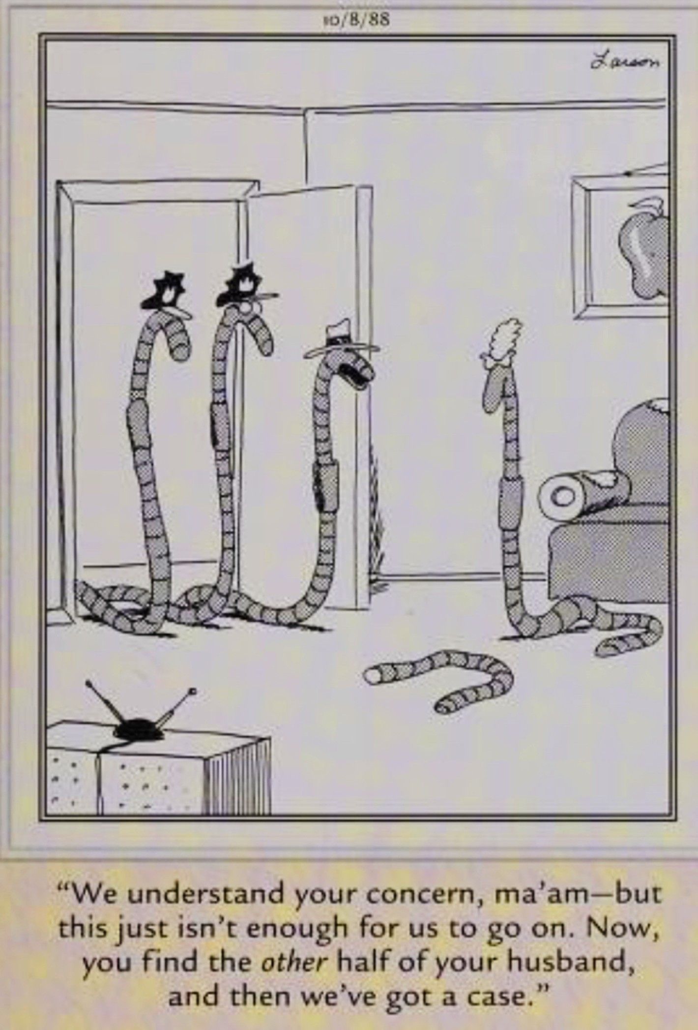 Far Side, October 8, 1988, worm detectives tell a worm wife they can't investigate her husband's death