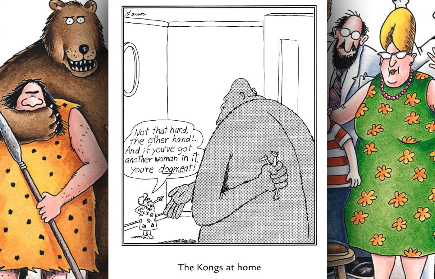 far side the kongs at home