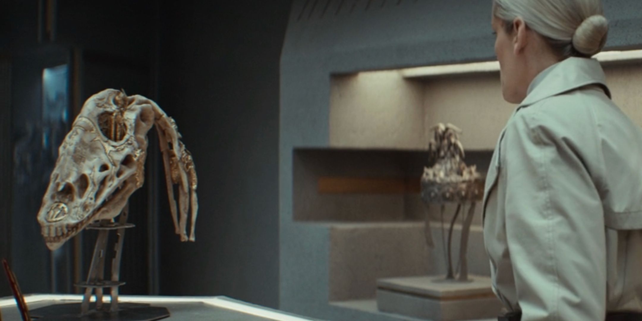 Gungan Skull in Andor Season 2