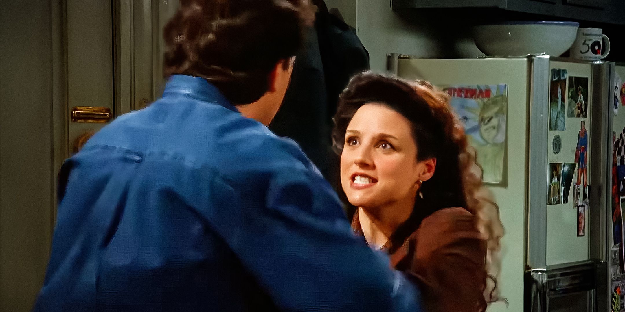 I-Love-The-Elaine-Shove-In-Seinfeld-&-Its-Backstory-Makes-The-Julia-Louis-Dreyfus-Character-Even-More-Endearing-v1