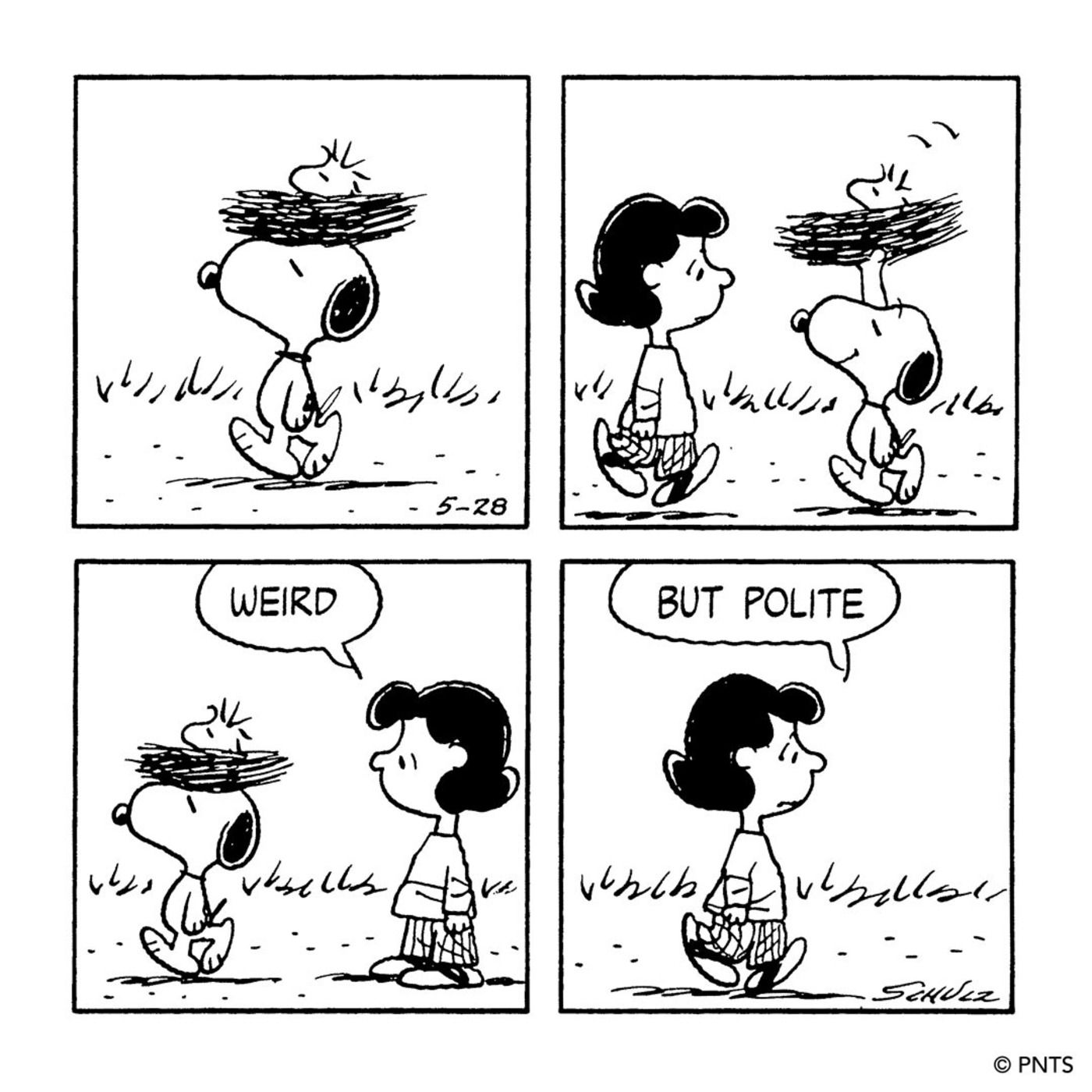 Amendoins, Snoopy segurando o ninho de Woodstock na cabeça enquanto ele passa por Lucy.