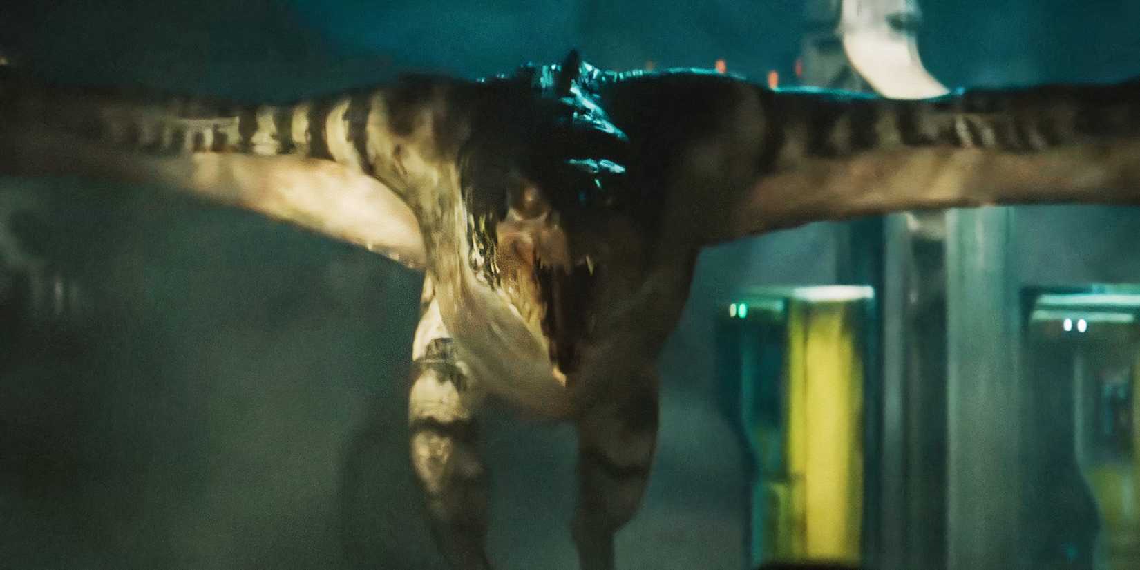 A Mutadon in Jurassic World Rebirth.