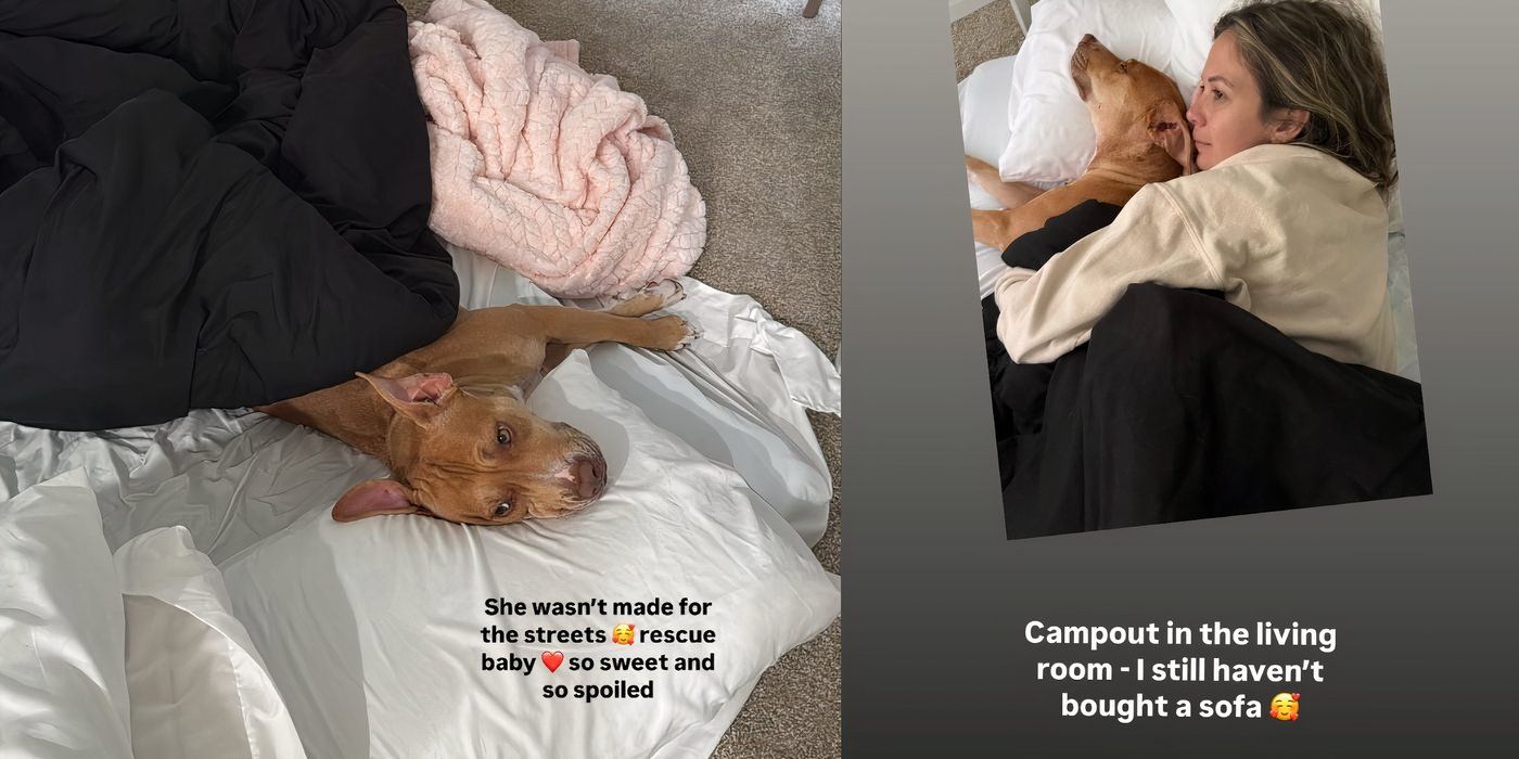 Liz Woods from 90 Day Fiancé Happily Ever After with her new dog