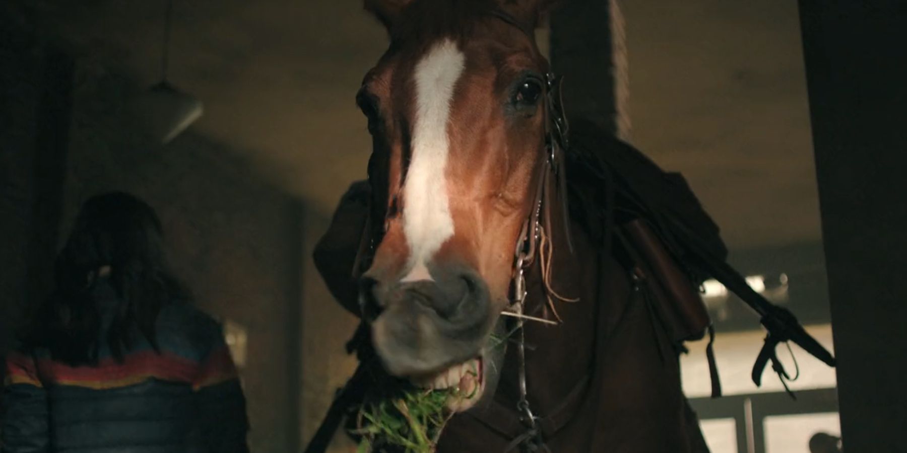 Shimmer eating some grass as Dina walks away in The Last of Us season 2