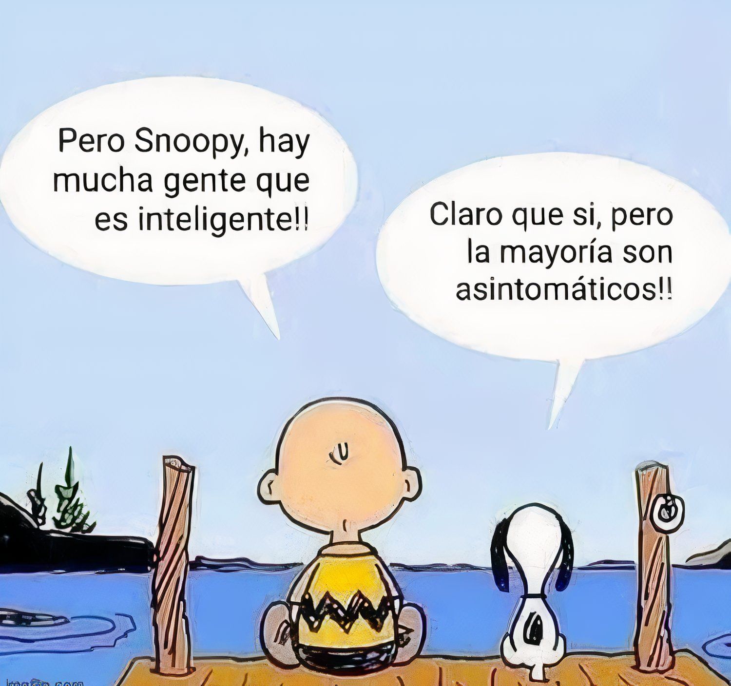 snoopy-and-charlie-brown-meme-retweeted-by-pope É realmente verdade, o novo papa católico é um amante de quadrinhos como o resto de nós