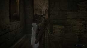The Revenant facing a wall in Elden Ring Nightreign.