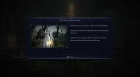 The Revenant's popup window in Elden Ring Nightreign.