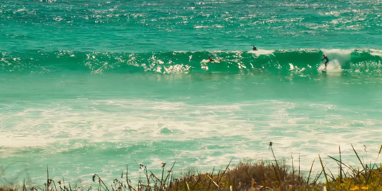 The Surfer Nic Cage 3