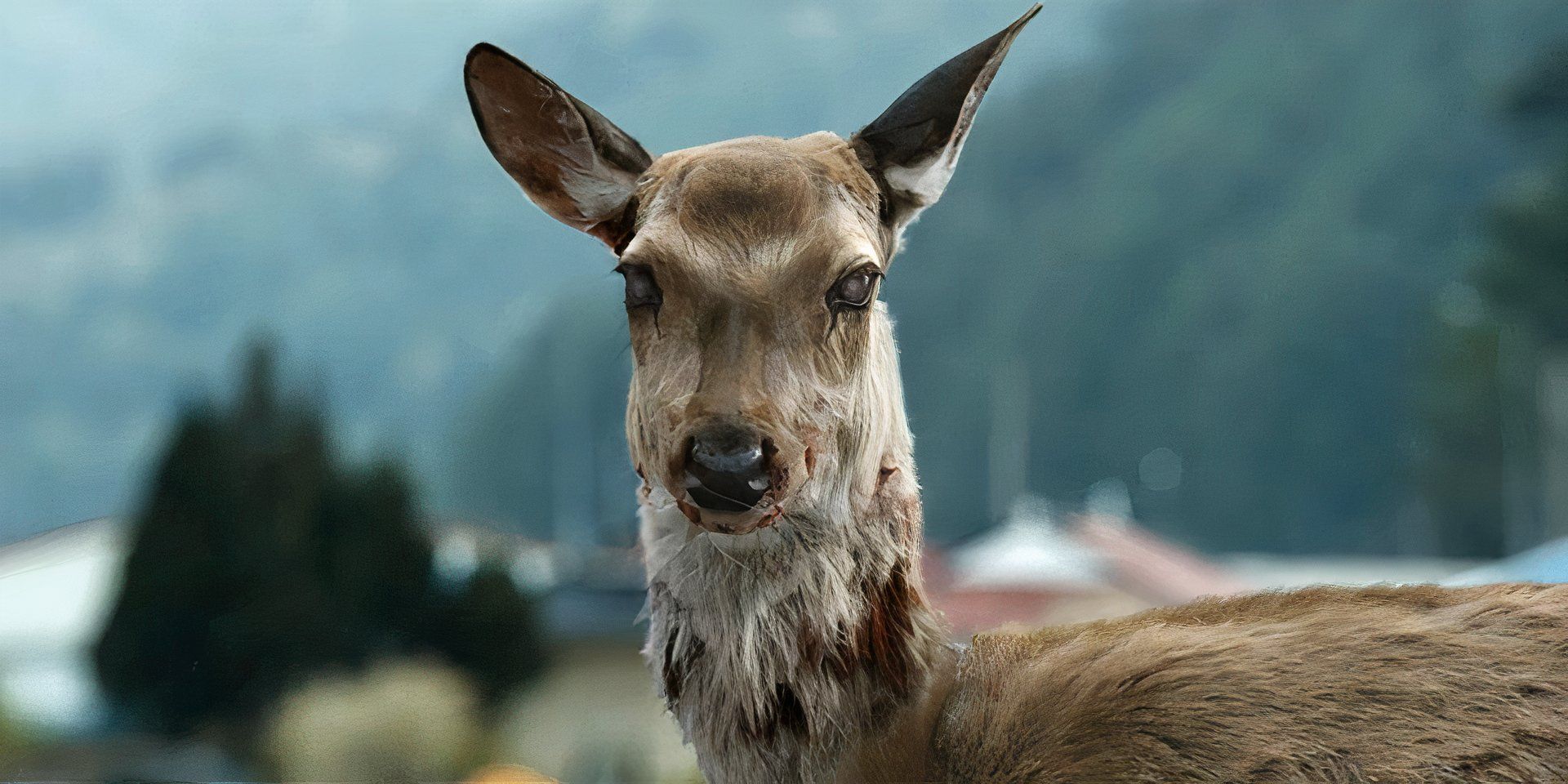 An infected deer in Train to Busan (2016)