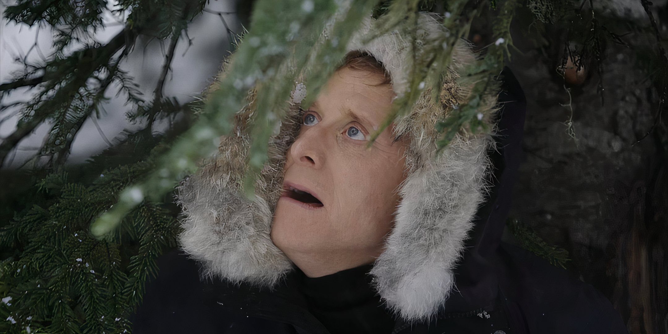 Harry in a winter hood beneath pine tree branches looking up in astonishment