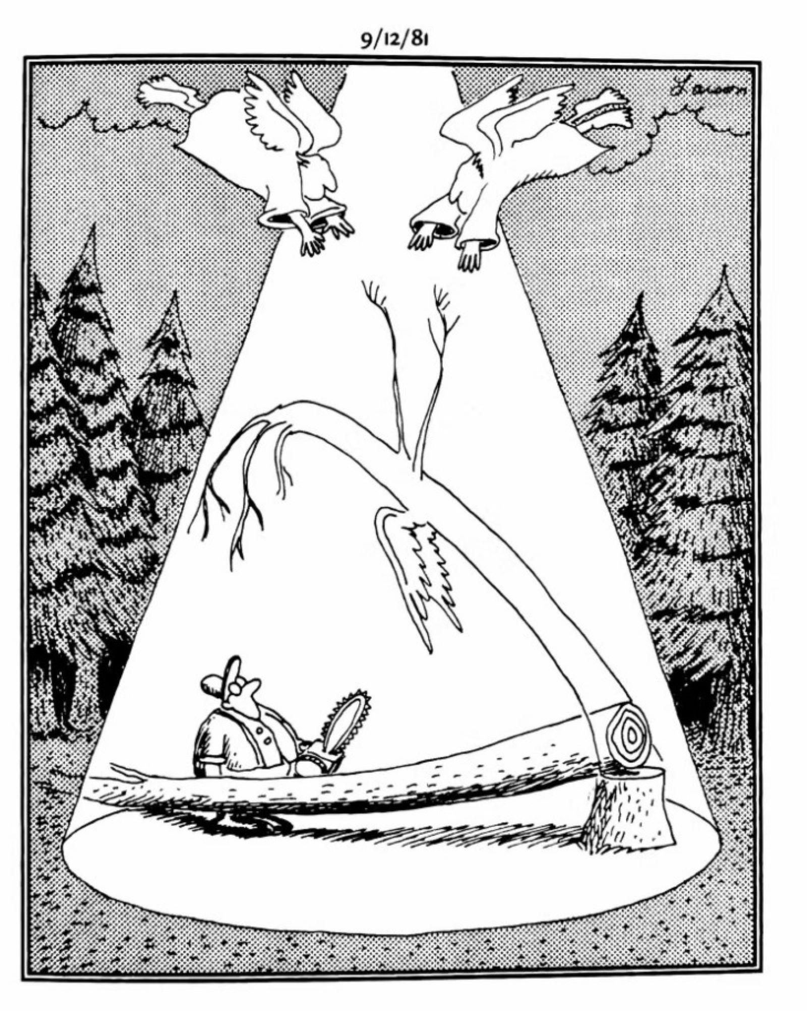Angel Tree loin