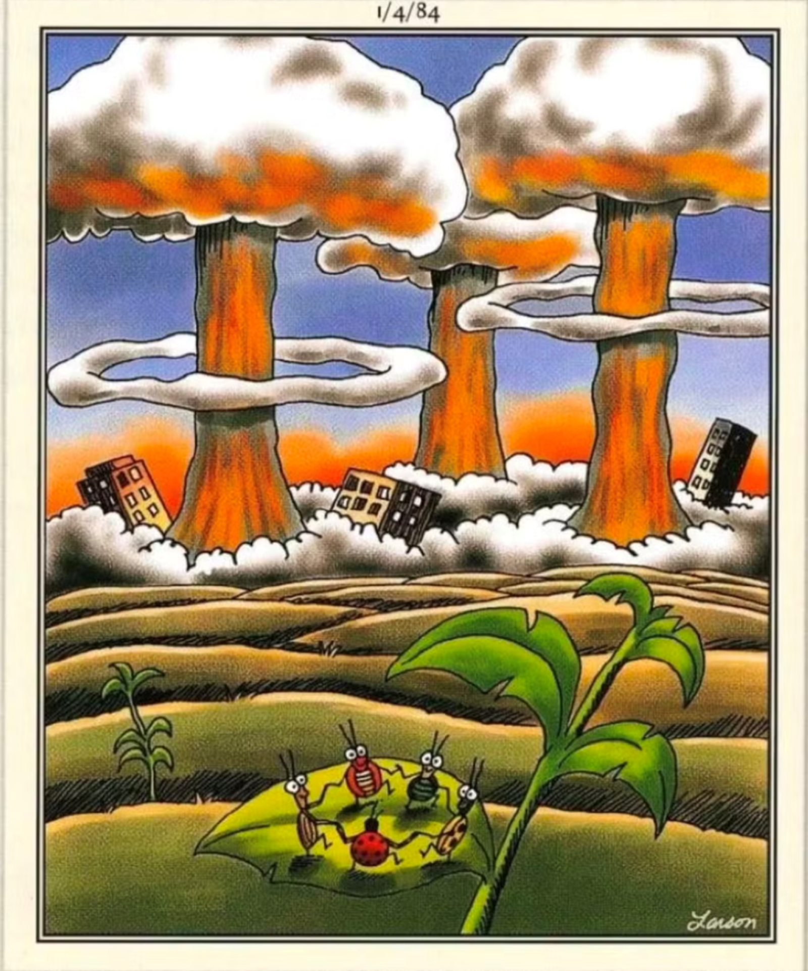 insectes et bombes à champignons nucléaires éloignées