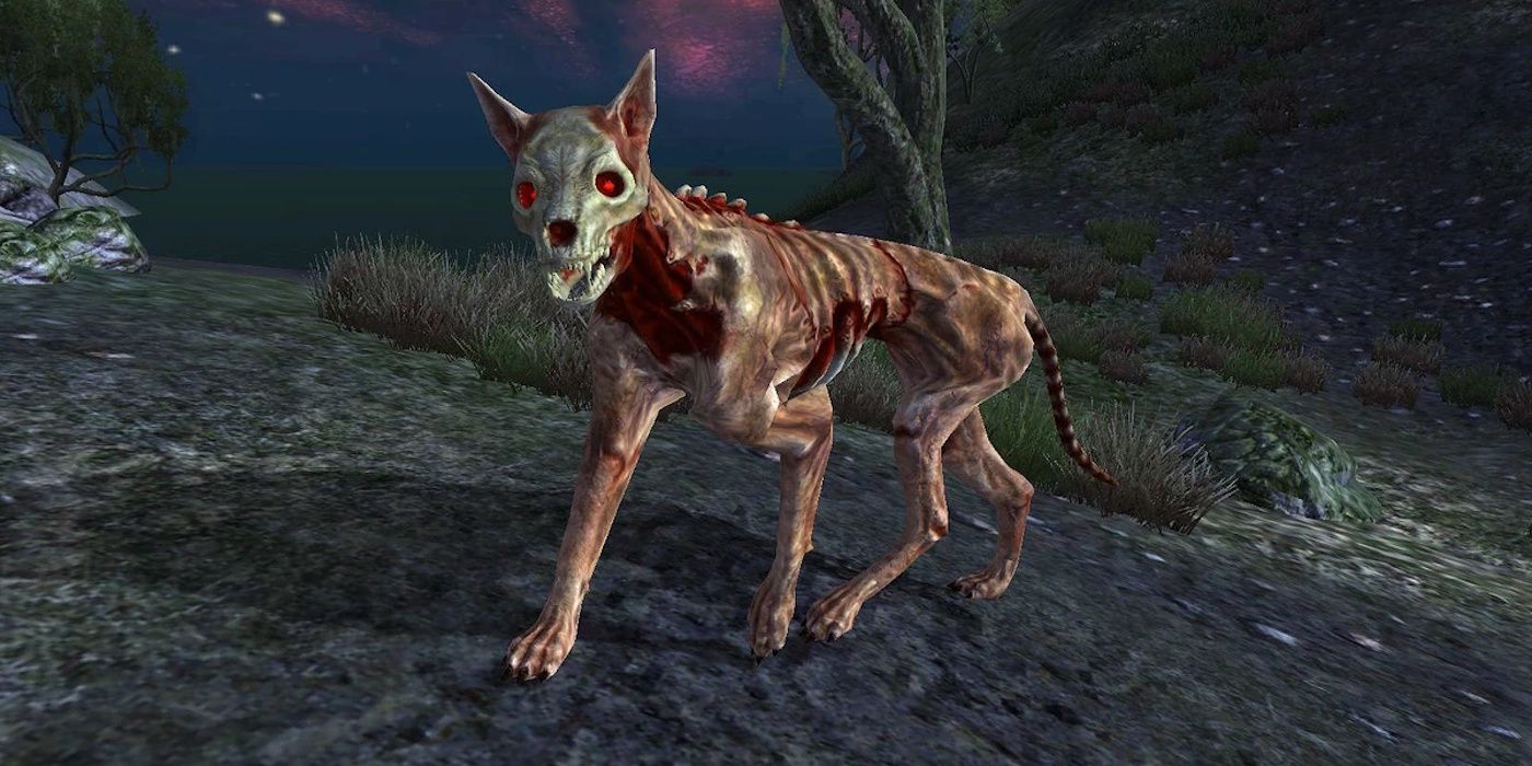 Close up of Skinned Hound in Oblivion Remastered