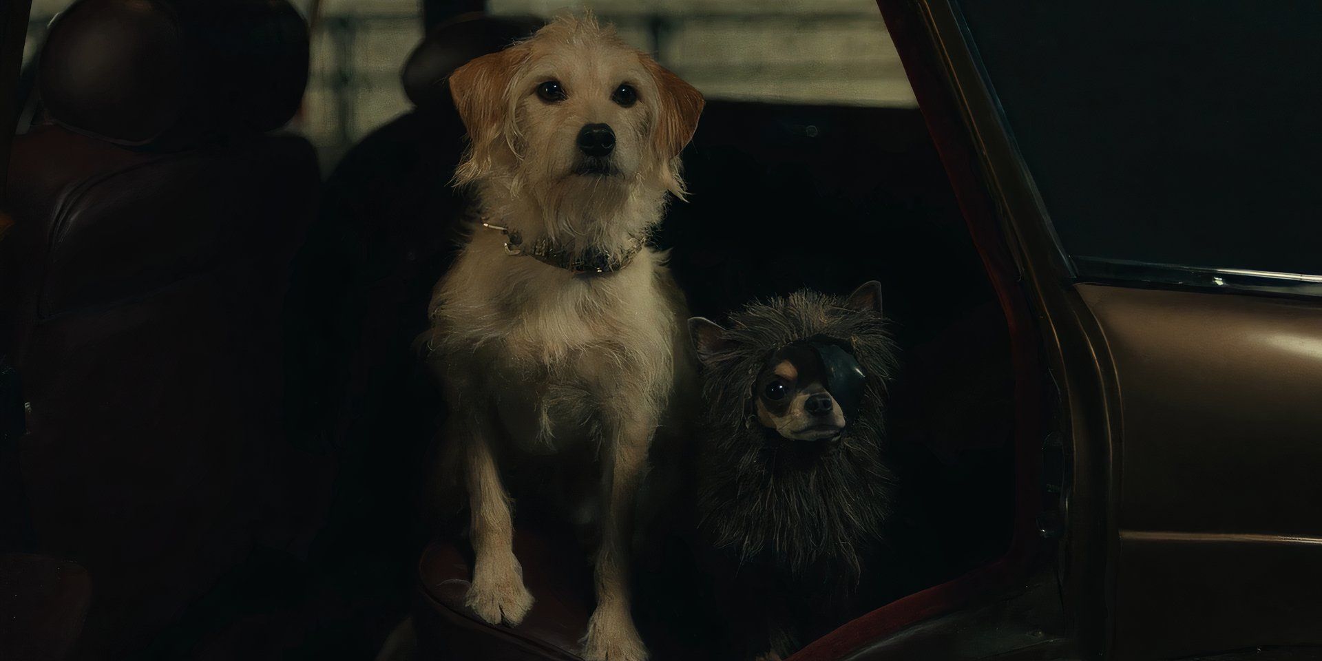 Buddy and Wink in Cruella