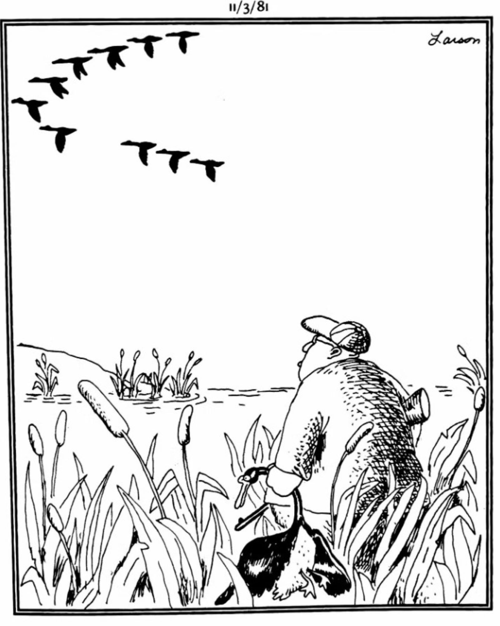 Formation de canard Gary Larson