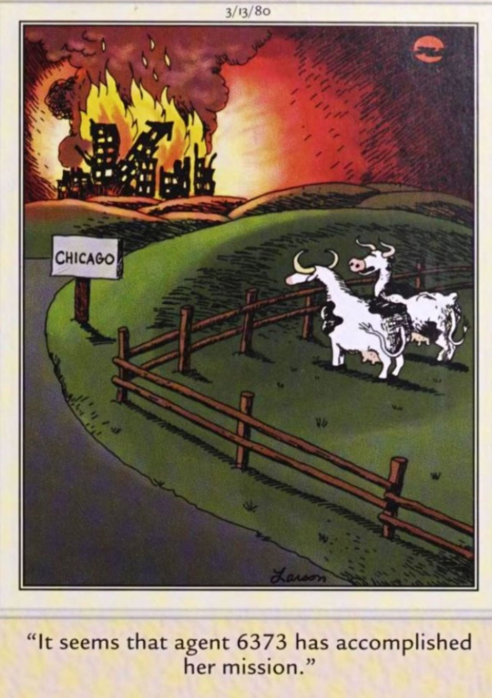 far side cows chicago fire