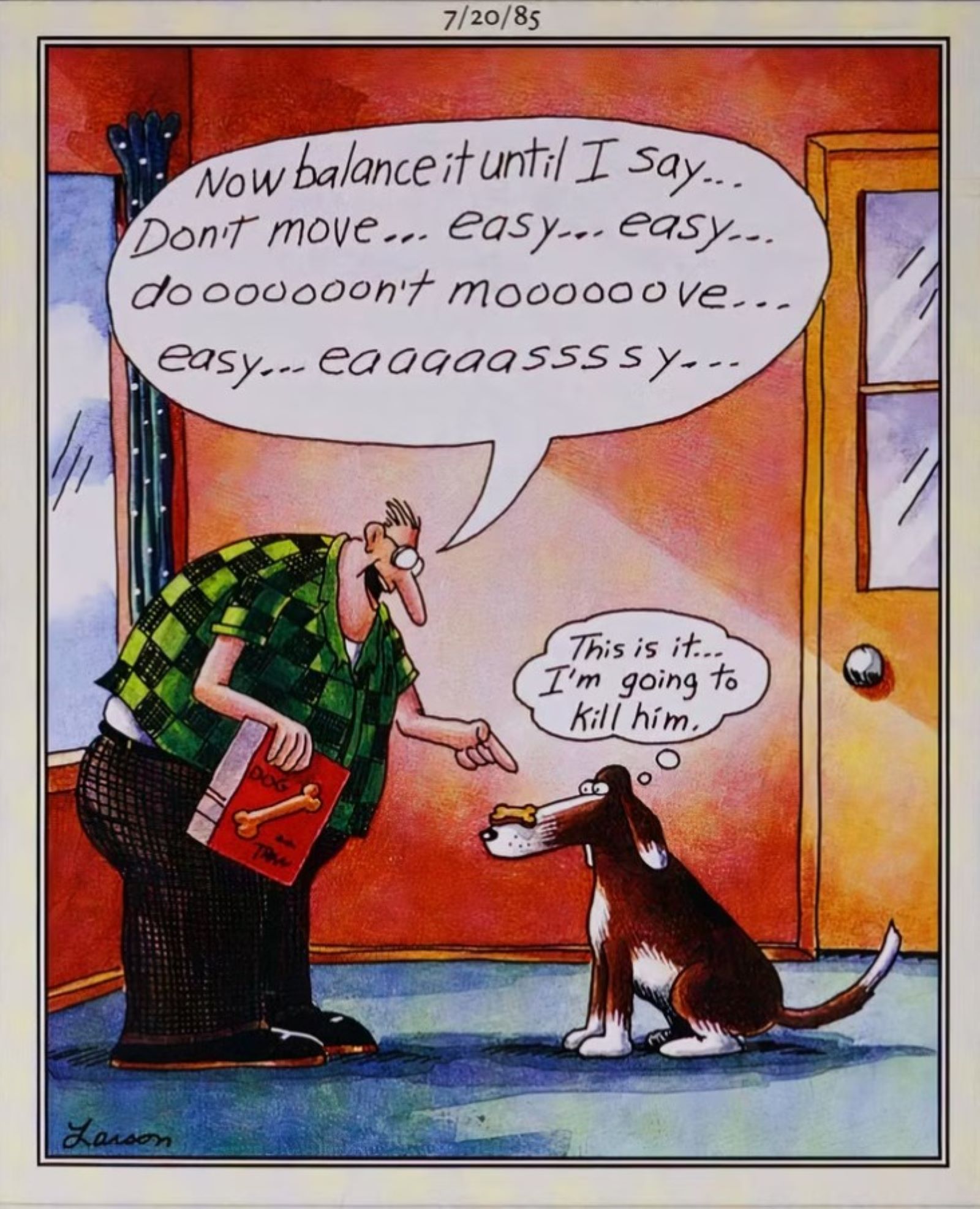 far side dog treat kill