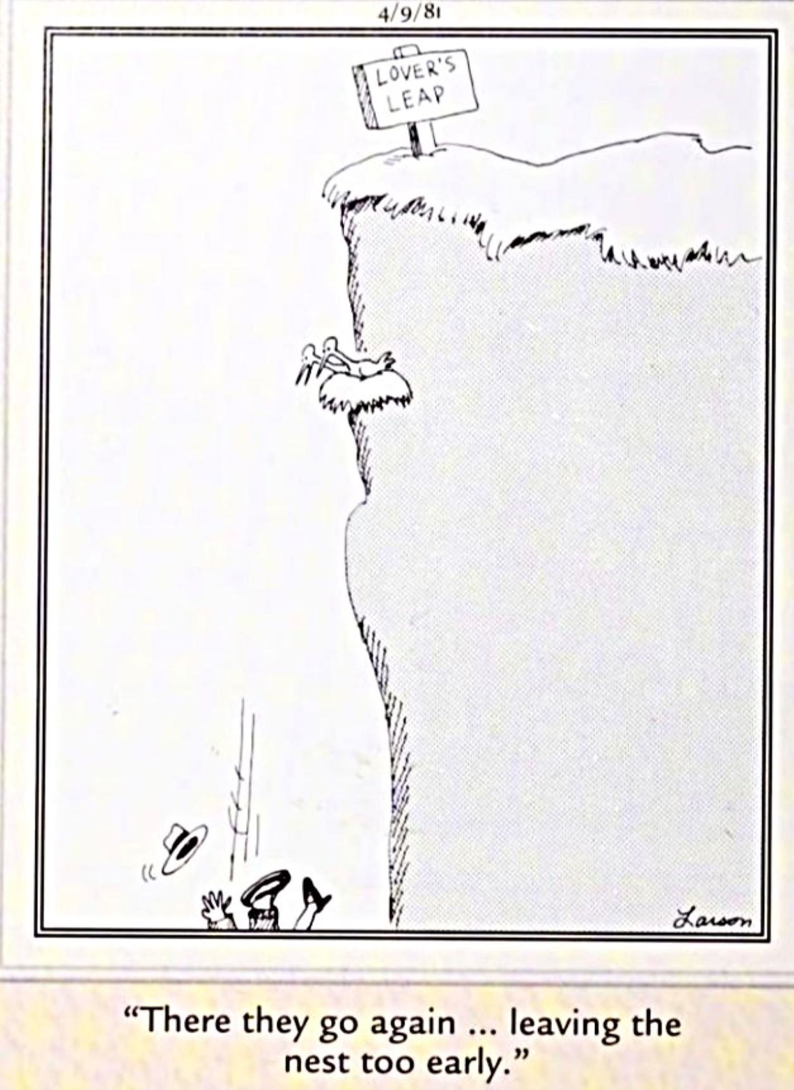 Far Side lover's leap cliff 