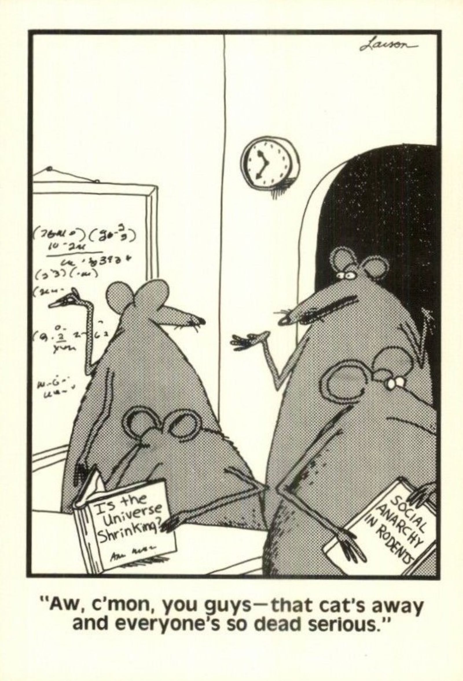 far side rats and cat drama
