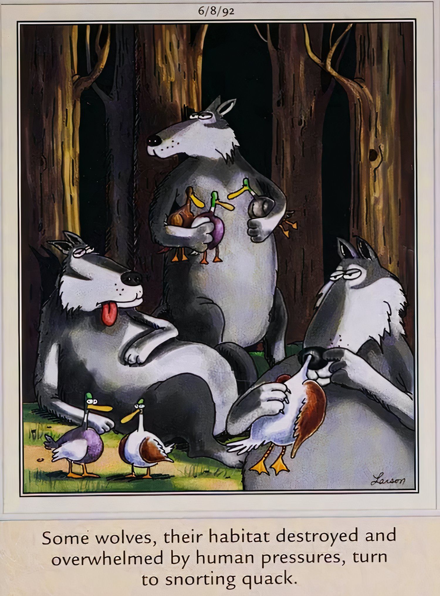 Far Side Snorting Quack
