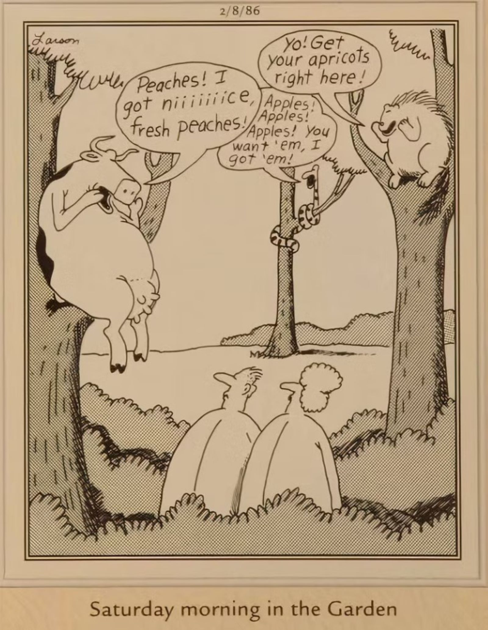 Garden of Eden animals far side
