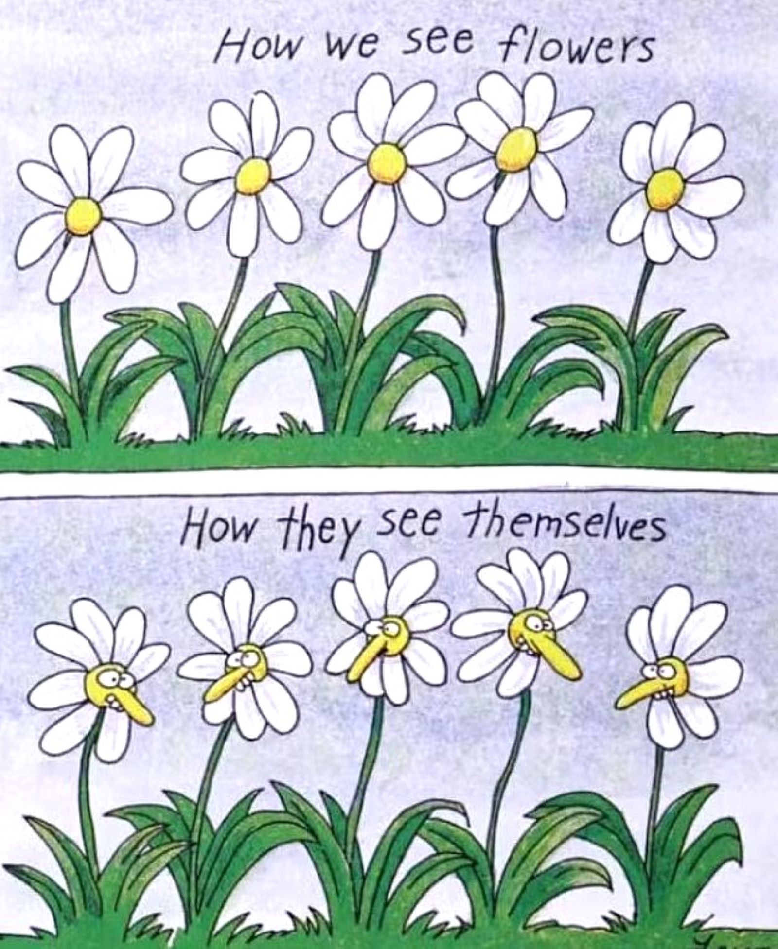 Gary Larson Flowers Beauty