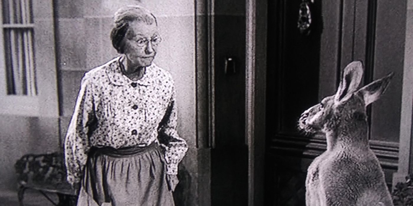 Granny (Irene Ryan) staring at a kangaroo in The Beverly Hillbillies The Giant Jackrabbit.