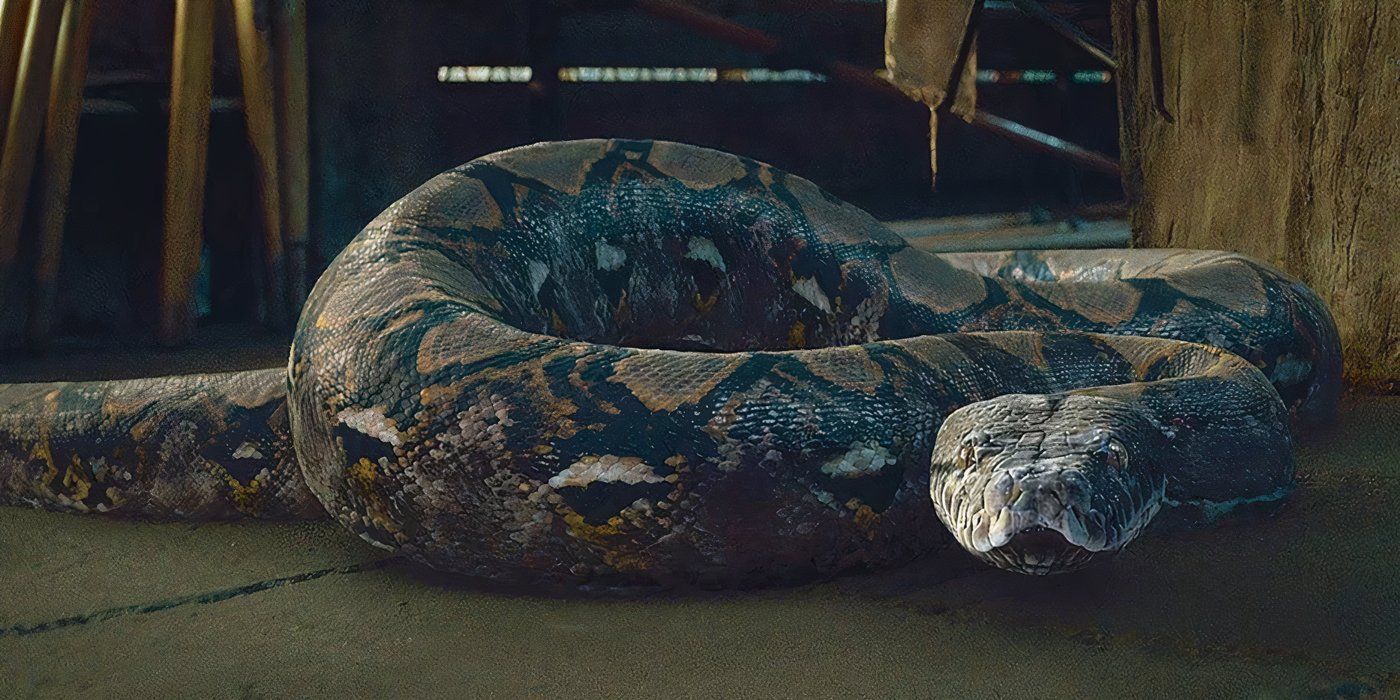 Nagini in Harry Potter