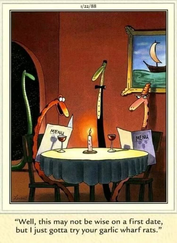 Duas cobras em um jantar à luz de velas.