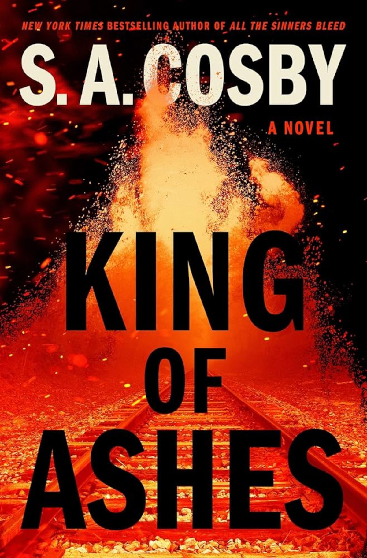 King Of Ashes Book Cover