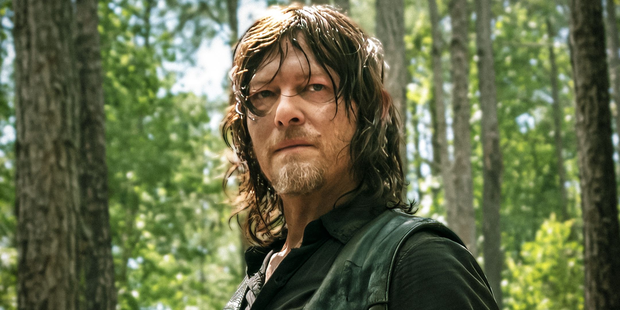 Norman Reedus as Daryl Dixon in The Walking Dead