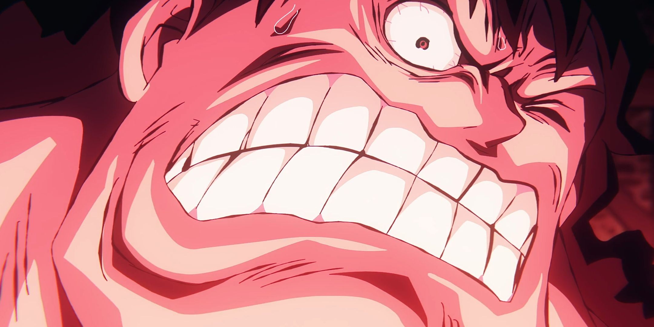Kuma in episode 1131