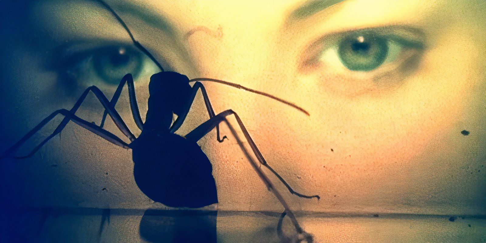 A still from Phase IV (1974)