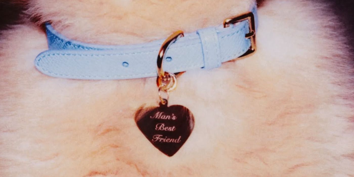 Copertina album Man's Best Friend di Sabrina Carpenter