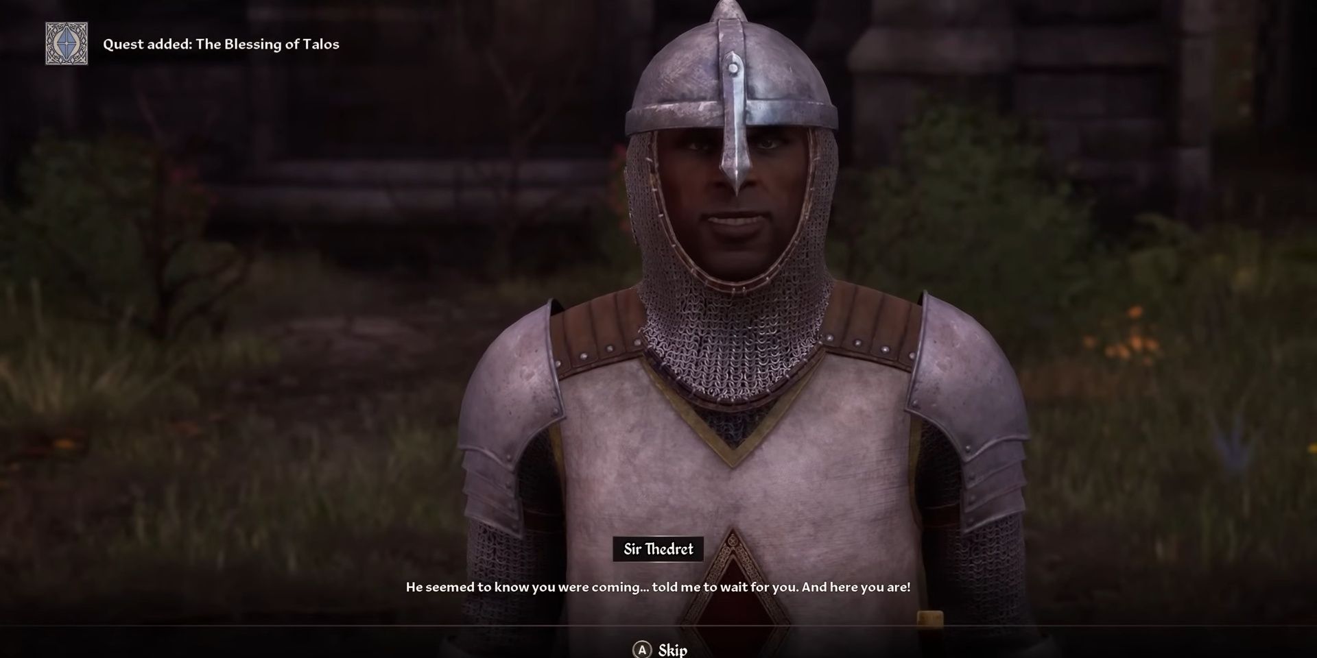 Sir Thedret one of the Knights of the Nine in Oblivion Remastered