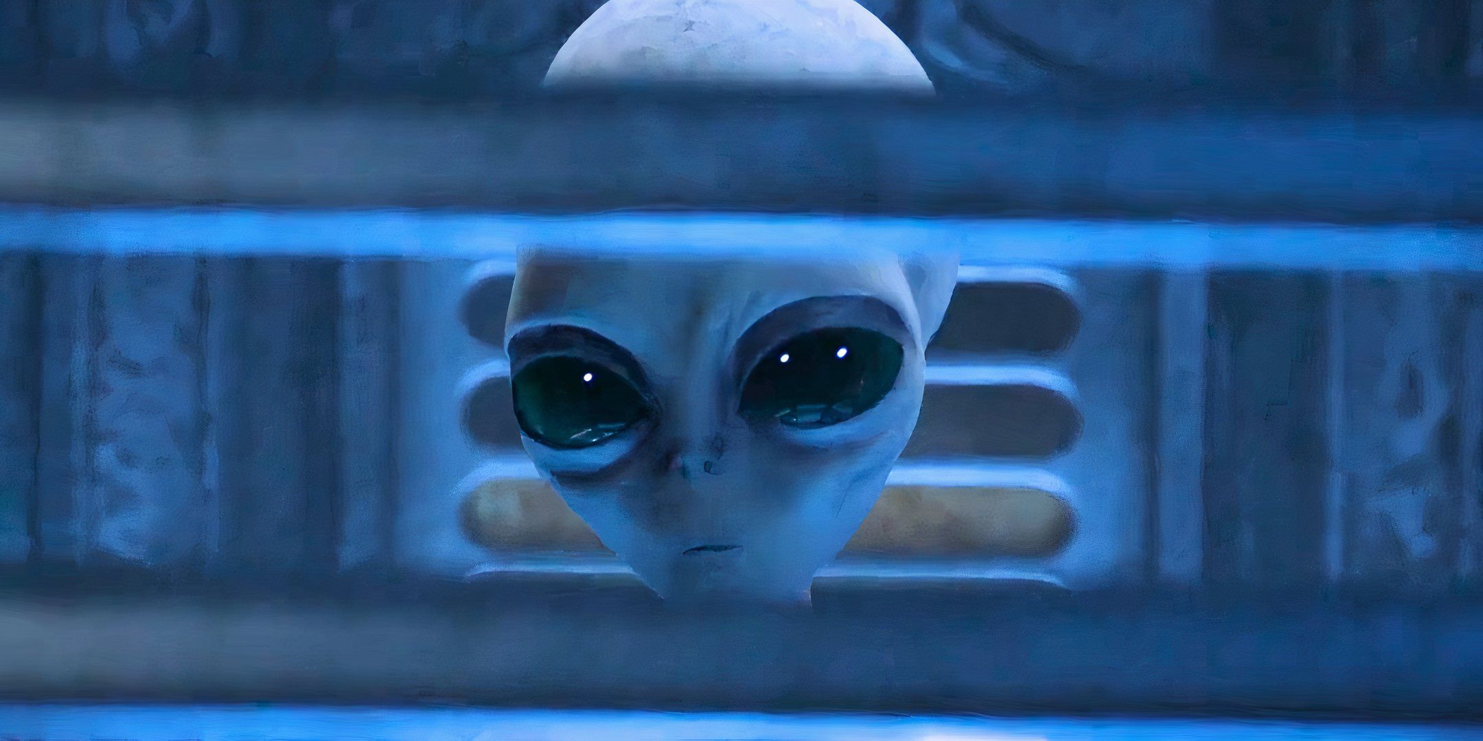 Bruce takes a look through shutters in a resident stranger