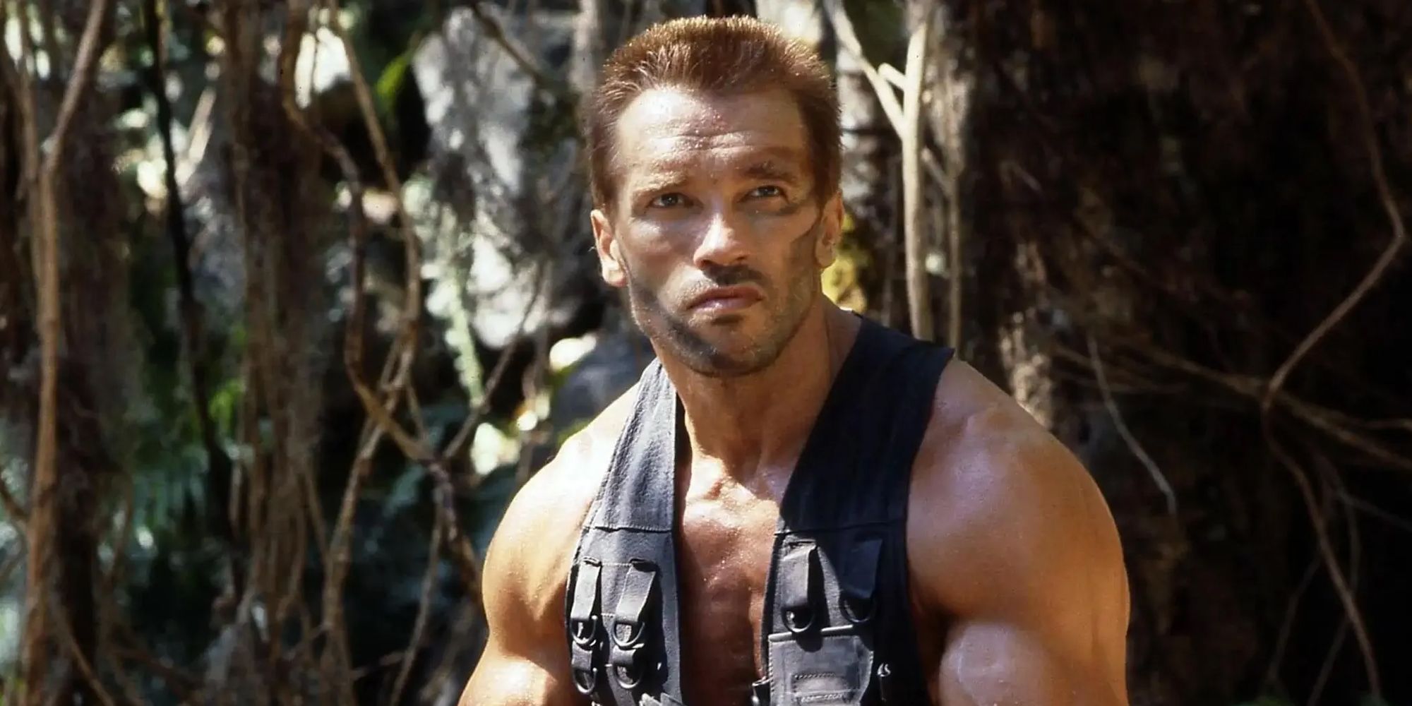 Arnold Schwarzenegger as Dutch in Predator