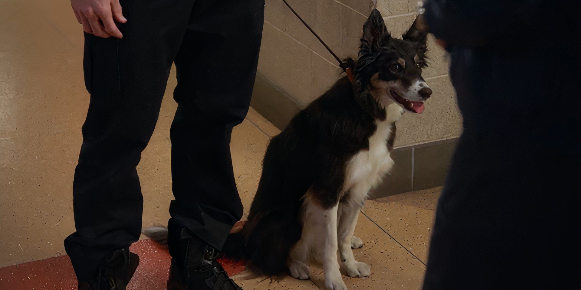 Fridge in Chicago Fire