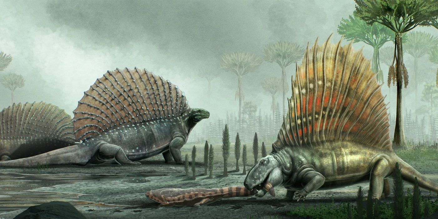 Edaphosaurus