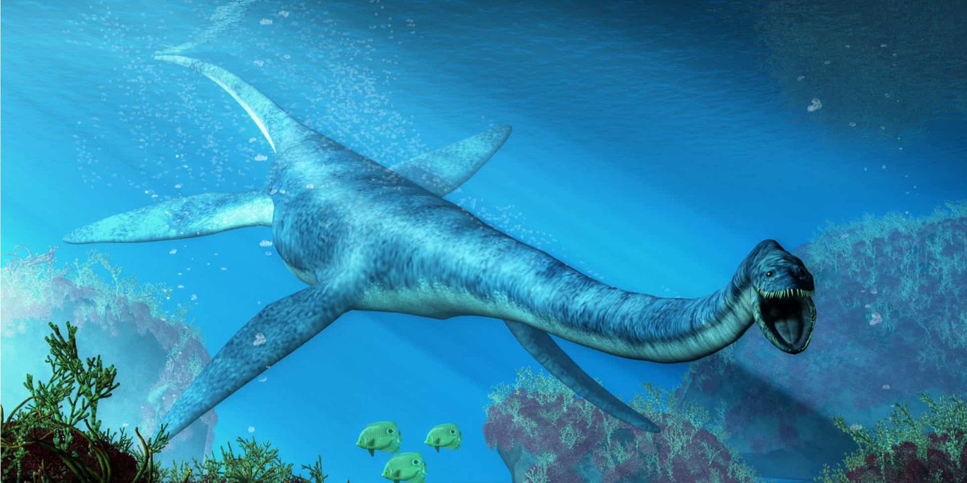 Elasmosaurus